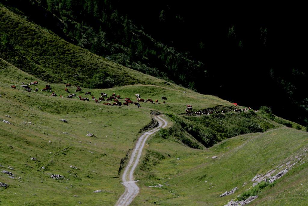 Baita La Jolie Bergere La Salle Bagian luar foto
