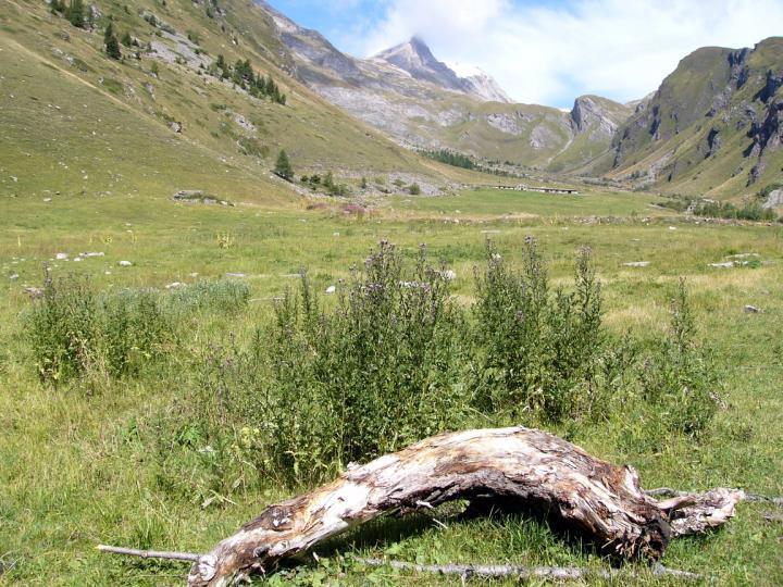 Baita La Jolie Bergere La Salle Bagian luar foto